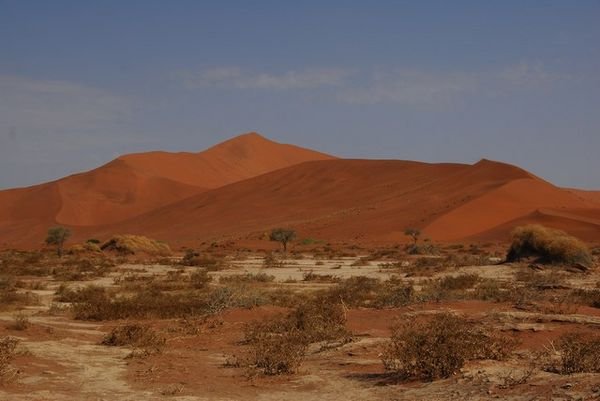 Red dunes of Sossusvlei-Namib National Park