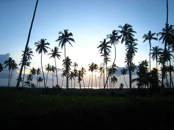 Sunset over Zanzibar.