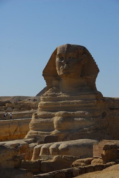 The better side of the Sphinx.