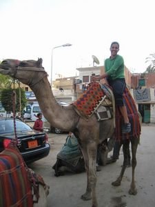 Getting started on our camel ride at Giza.
