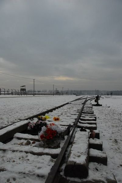 The end of the line at Birkenau.