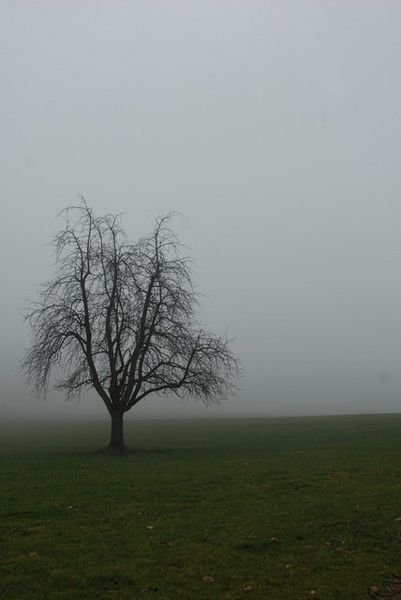 A foggy look at the battle site.