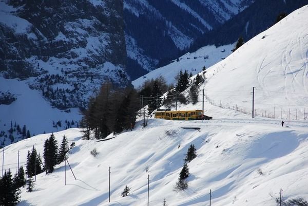 The train from Interlaken to Jungfraujoch.