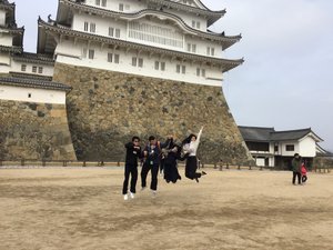 Celebrating a visit to Himeji Castle 