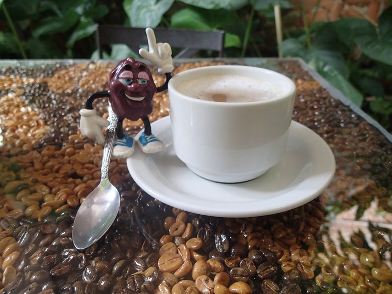 Wilson's coffee on coffee bean table