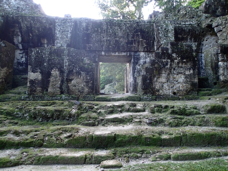 Tikal Runis 1