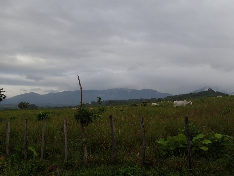 On the road from Rio Dulce 2