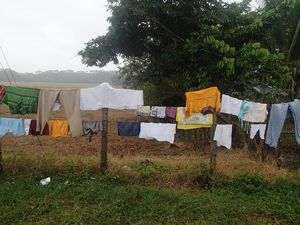 On the road to Copan - Laundry hung on barbedwire fence!