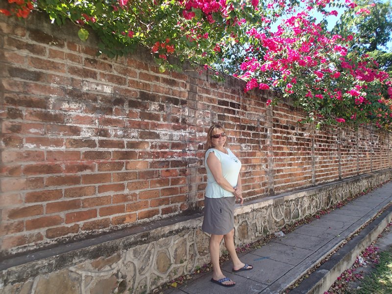 Pretty Ann on a pretty street.