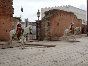 Guards of the Hassan Mosque 