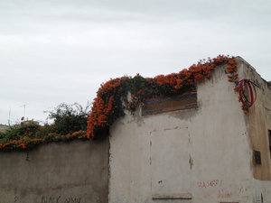 The walls of a house in Rabat.