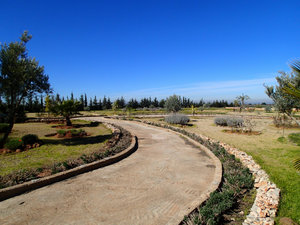 The hotel grounds.