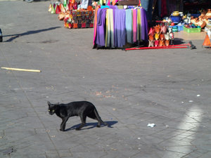 Hello Kitty... Marrakech style!  LOL!