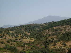 On the way to Chaouen.