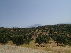 On the way to Chaouen.