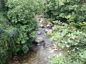 Babbling brook... very peaceful.
