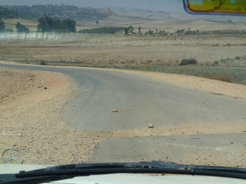 The "road" to Moulay left much to be desired.