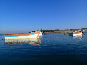 The fishing boats of Moulay...