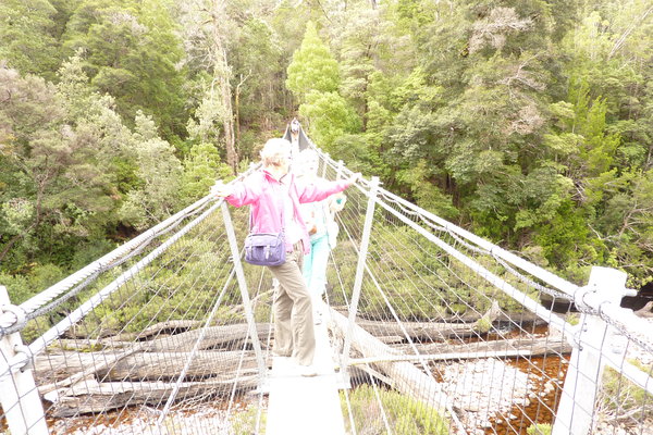 Swing Bridge