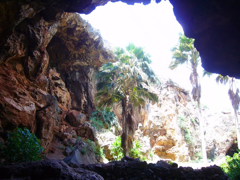 Sinkhole Cave