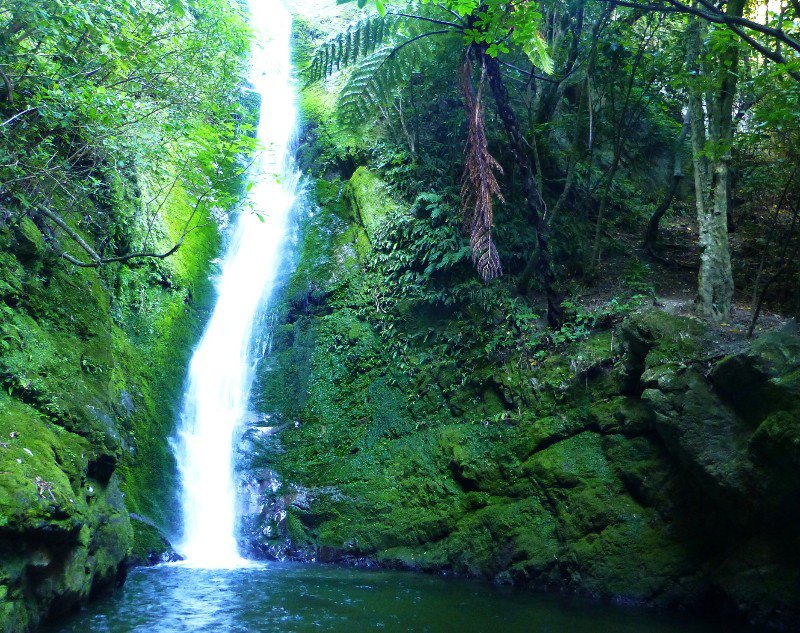 NZ Oahu Falls