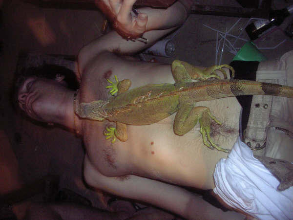 Chris passed out avec lizard