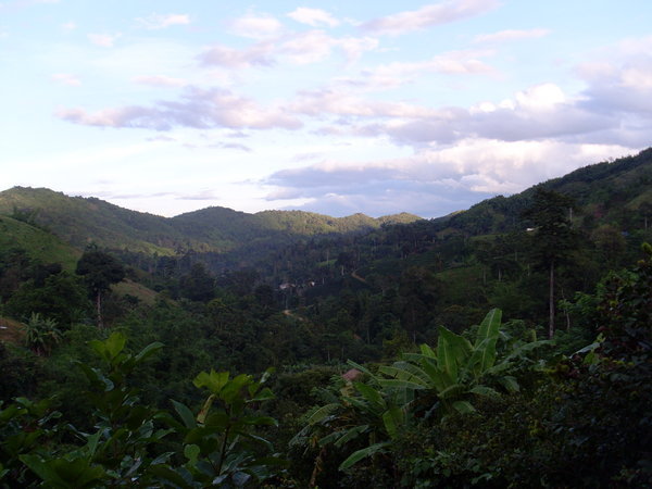 The jungle from our bungalow at the Akha hill tribe