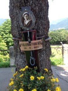 Tree in memory of a partisan who was hung by Nazis in Bassano