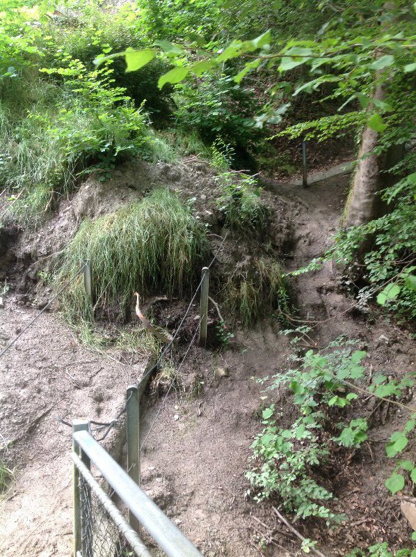 A mudslide blocks the trail