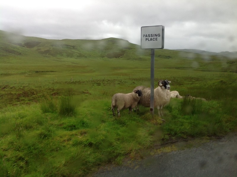 Rush hour on the Isle of Skye