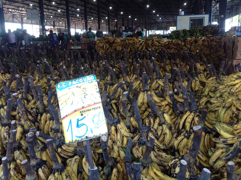Any kind of banana or plantain you want at the market