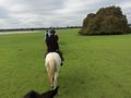 Scenic horseback ride