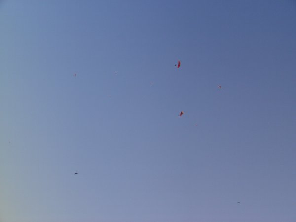 How many paragliders can you see?