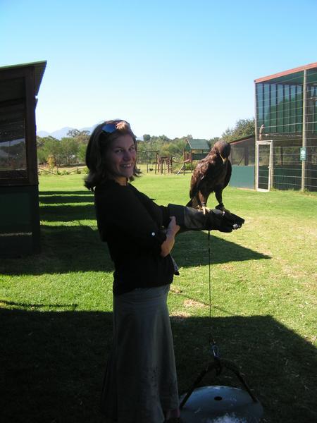 Making friends with Wally the Wahlberg Eagle