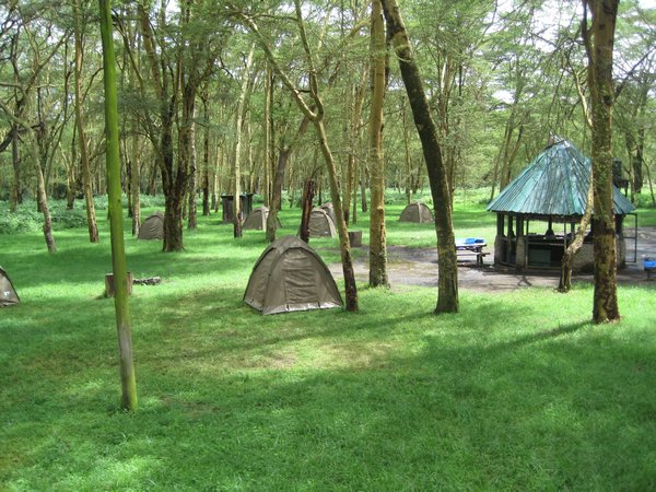 Our first camp in Lake Nakuru