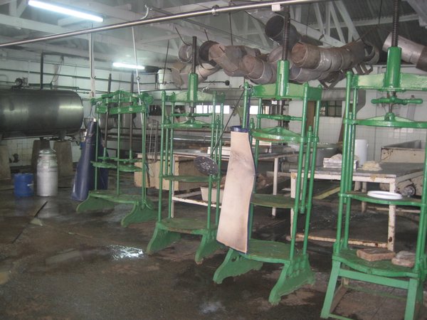 Cheese factory, Eldoret