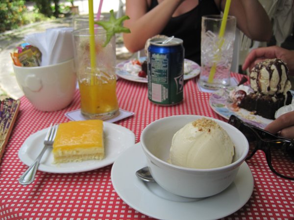 Lemon slice and homemade vanilla ice cream