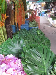 Flower Market 3