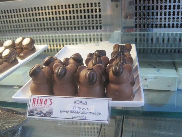 Chocolate koalas 