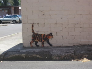 May Lane graffitti project - local lane resident