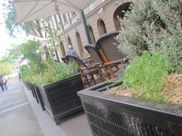 herb boxes lining the streets of the rocks