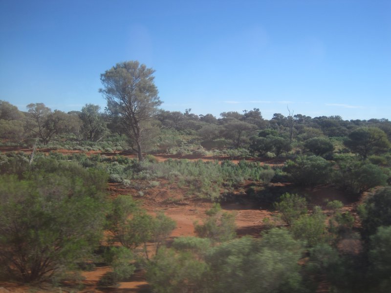 Red centre
