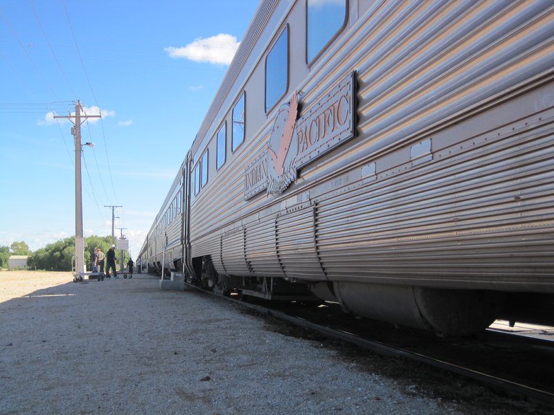 Indian Pacific at Cook