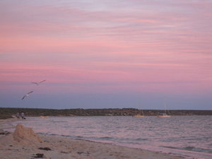 Back of the sunset, Shark Bay