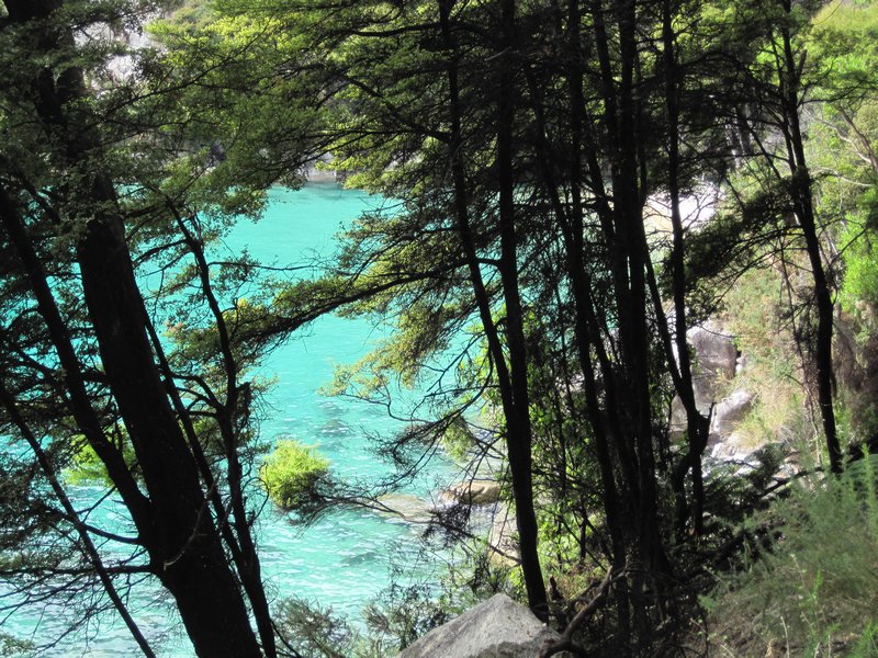 The bright, clear waters of Abel Tasman NP