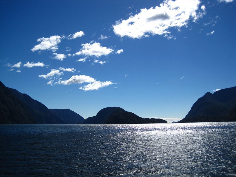 Doubtful Sound in late afternoon sunshine