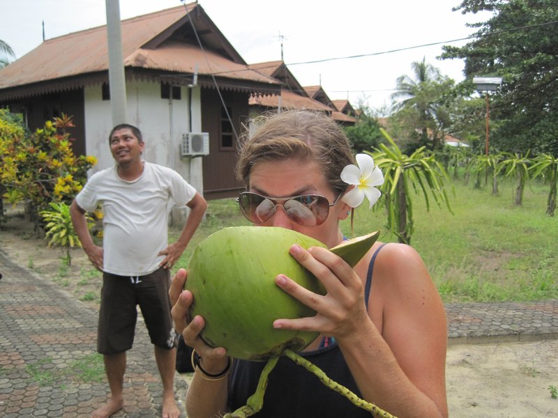 Fresh Coconuts in Paradise!