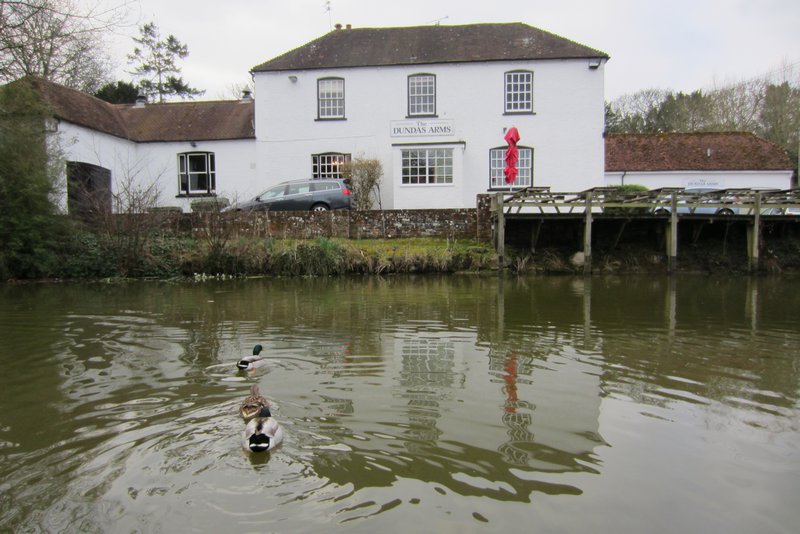 Country pub and ducks