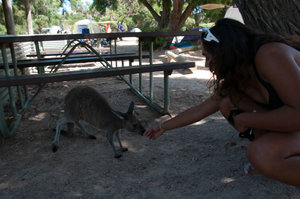 2013_02_20_Direction_Perth_Day8-14