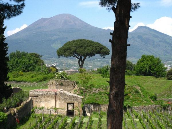 Mt Vesuvio